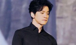 庞龙爆料李健视频播放,视频播放背后的感人瞬间